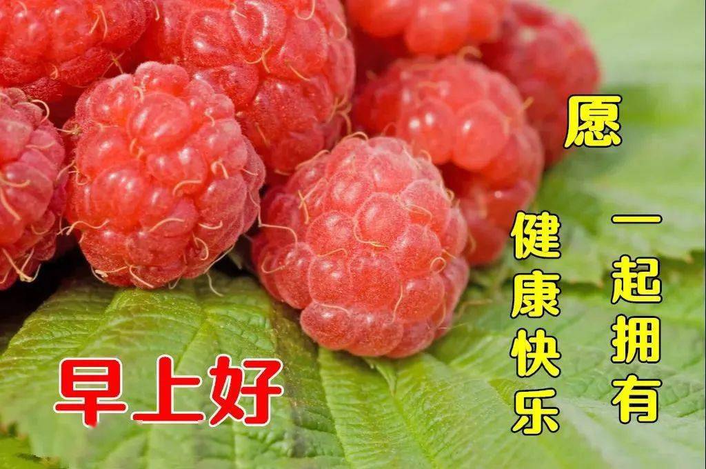 8张最新创意好看的早上好动画水果图片带祝福语 免打字的冬日清晨群发