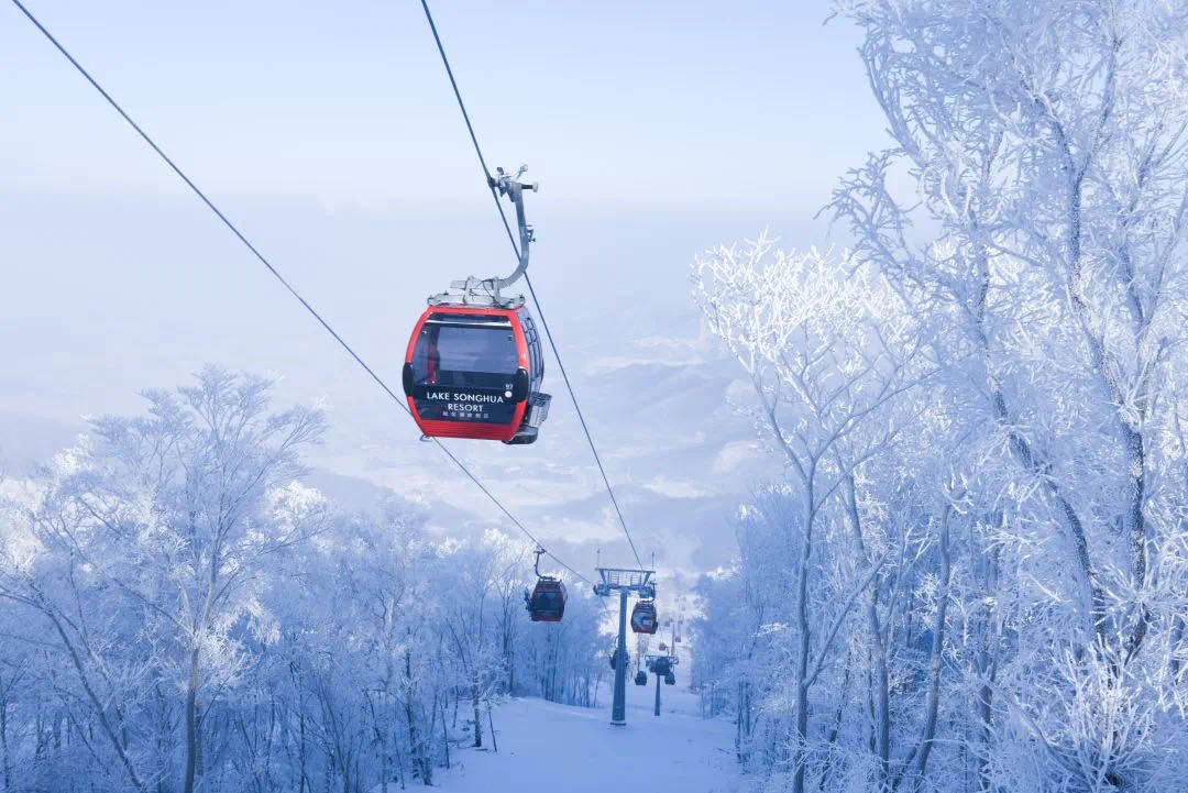 冰雪人口_冰雪奇缘图片