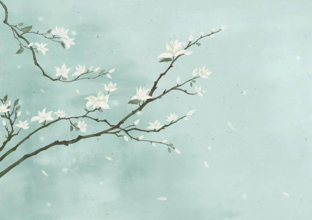 温什么爱成语_温如雪的发型是什么(3)