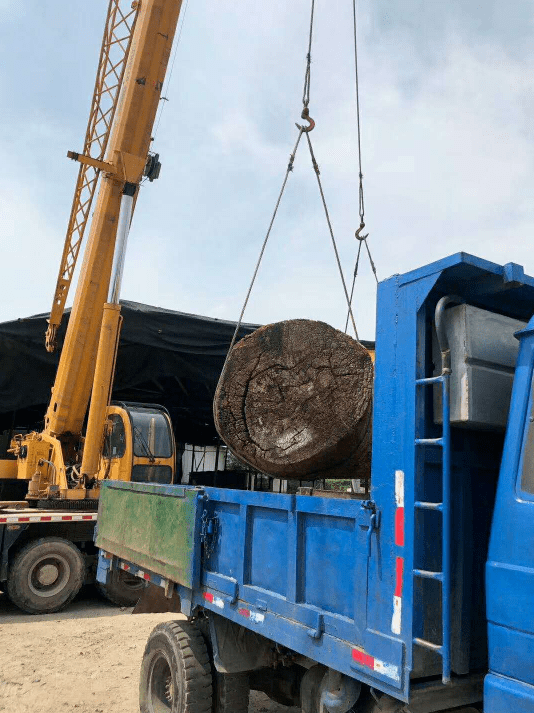 黄花梨排行_揭秘黄花梨为什么这么贵