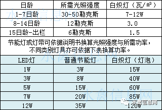 合理光照管理,提高肉鸭养殖效率.