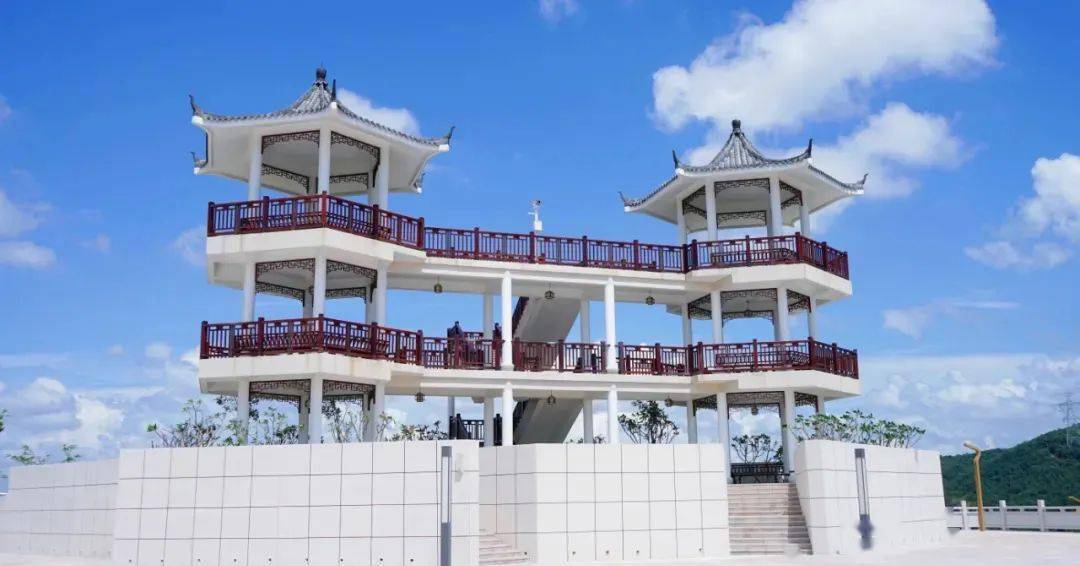 深圳人口来自_深圳人口年龄结构比例(2)