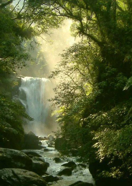 《高山流水》,湖雾飘渺,人间仙境