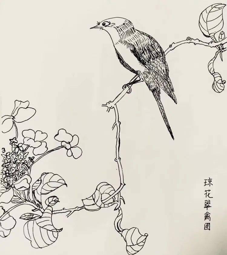 【乐学瑞金】第六课时:工笔画《琼花翠禽图》,民族舞,走读瑞金及楷书