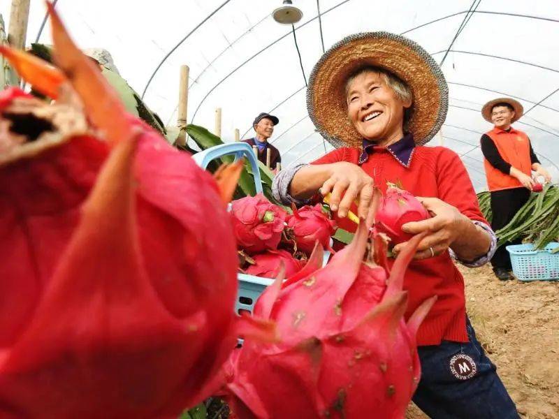 四川省十四五规划gdp_十四五规划图片(3)