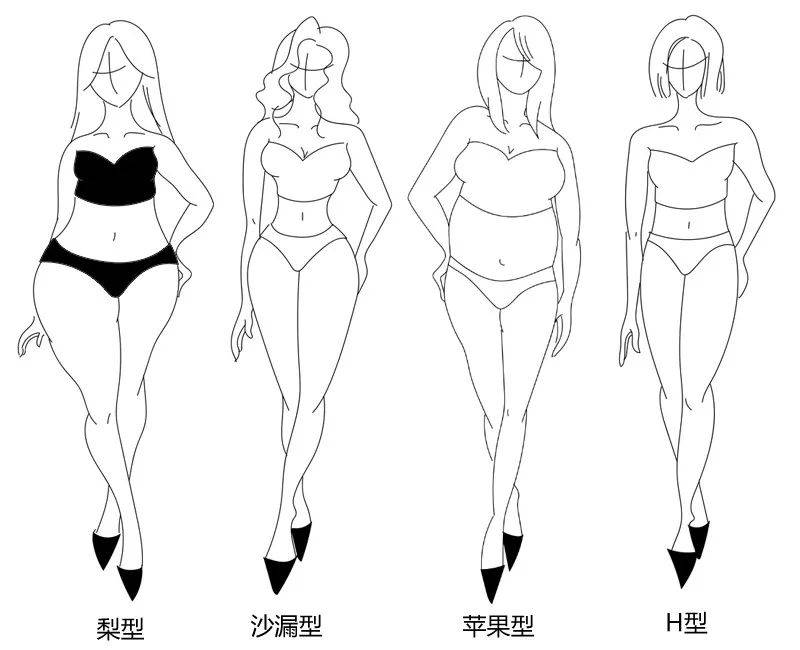 具体特征为:肩窄,腰细,臀宽,大腿丰满.