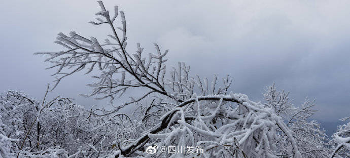 银装素裹 绵阳北川下雪啦