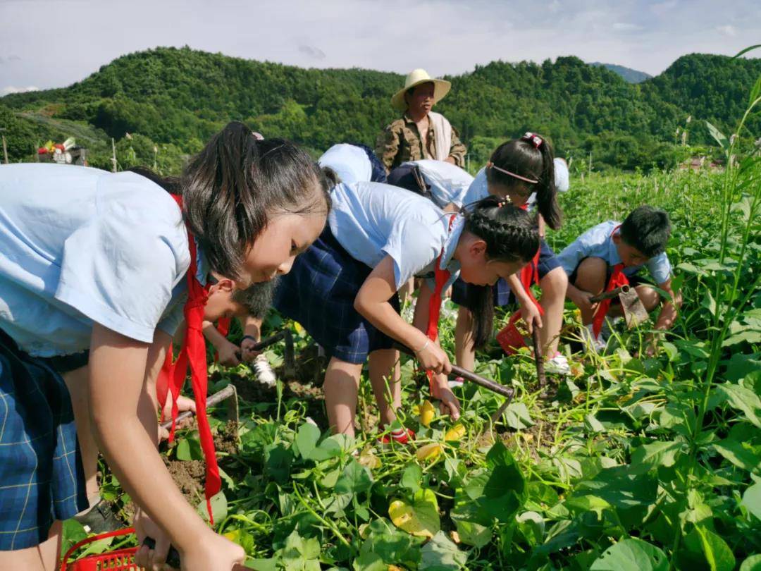 6年小学,要参加90项家务劳动,90项校内劳动,90项农场劳动,30项志愿