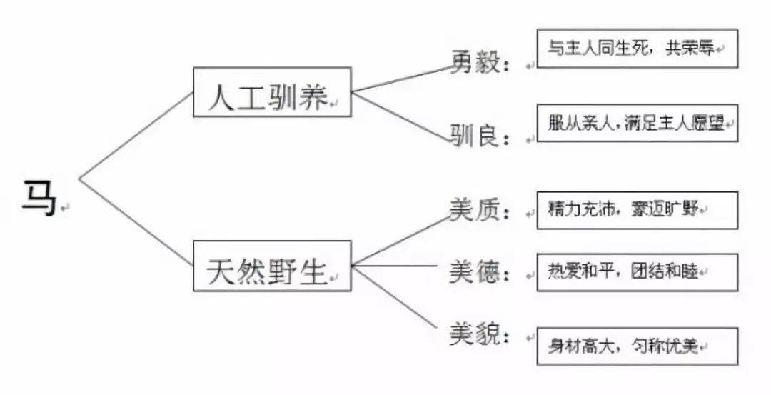 出彩的板书模板,够你用了!适用于所有学科,学段