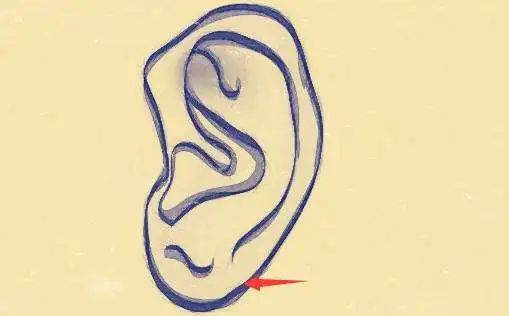 耳朵上出现这些特征是大病的征兆