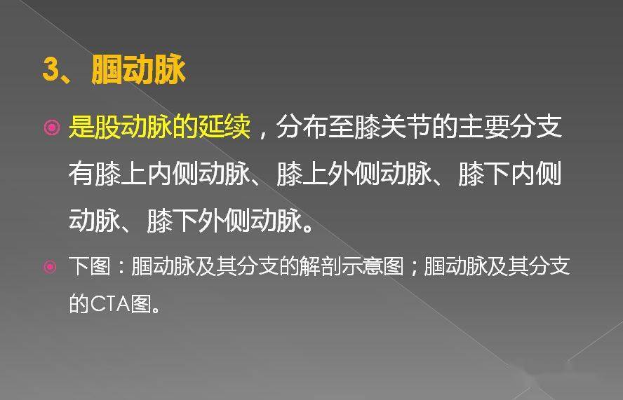 必点收藏丨下肢血管(系统解剖 cta图谱)_动脉