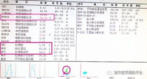 2017俄罗斯人口正增长_俄罗斯各婚人口分布图(2)