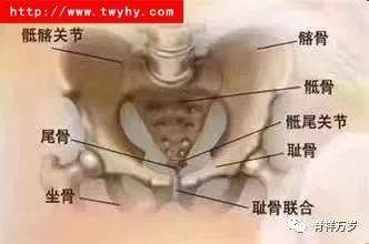 髋关节胯骨痛