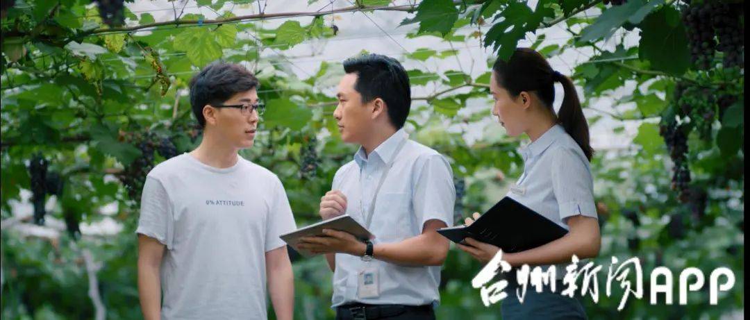 违规处置不良半年内被罚200万 民泰银行拟增