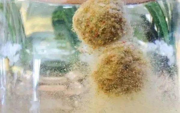 如何正确选择好的饵料 f0bc7881689f44399c3a4a38829a64c4.jpeg