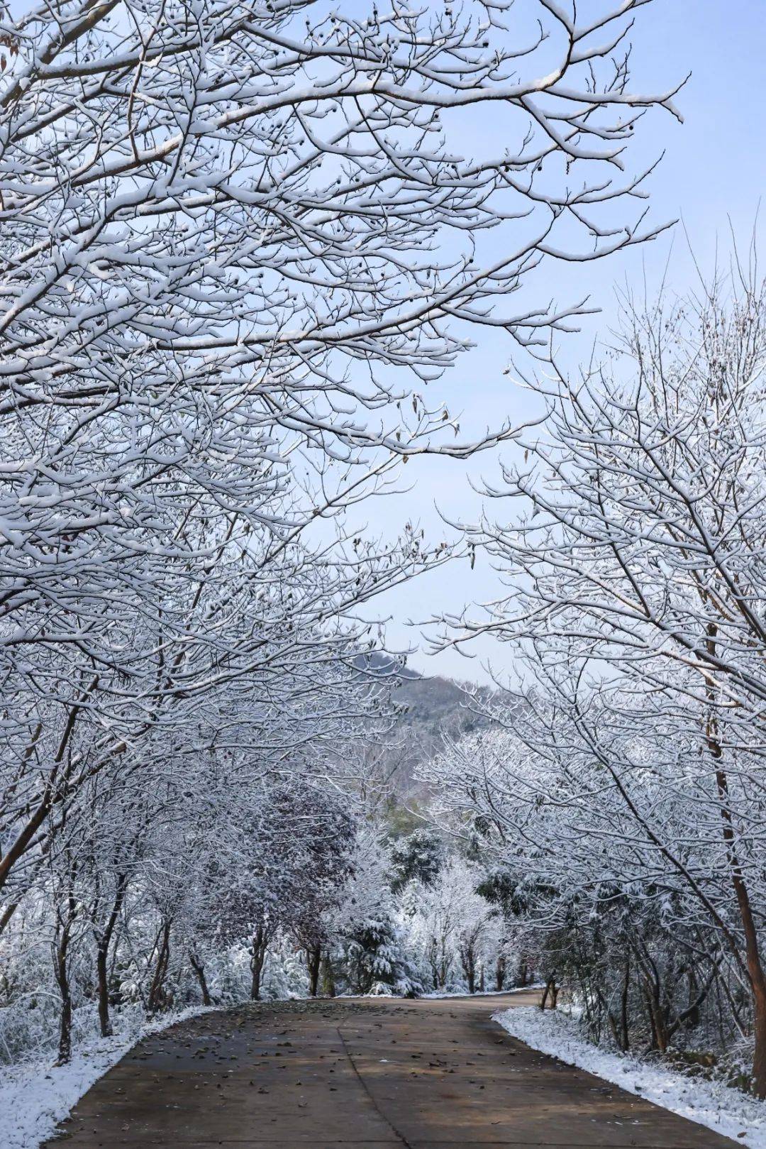 初雪的浦口美