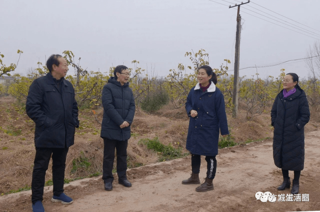南阳市方城县经济总量_南阳市方城县范真真(2)
