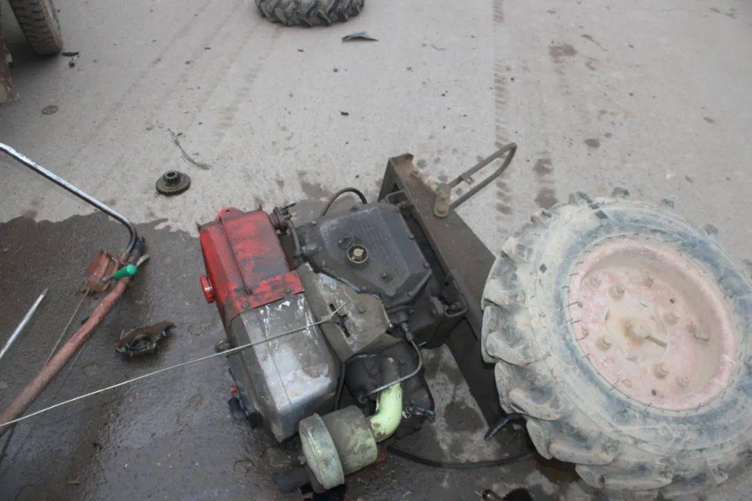 2020西柳GDP_西柳美女(2)