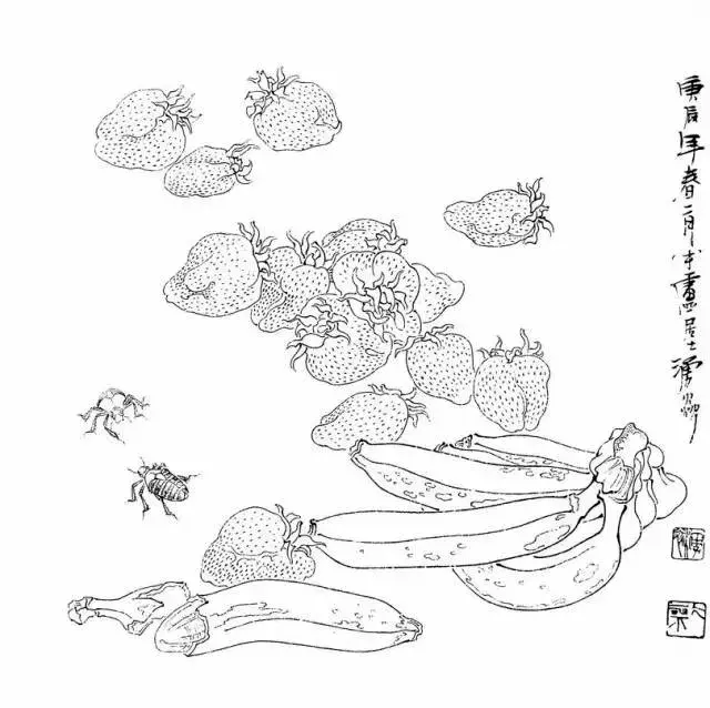 白描果蔬很实用的白描绘画