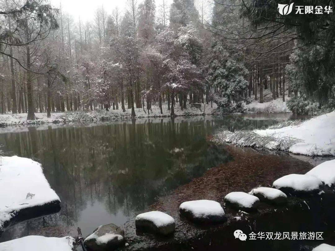 积雪5厘米,太美了,金华山绝美雪景,爱了!