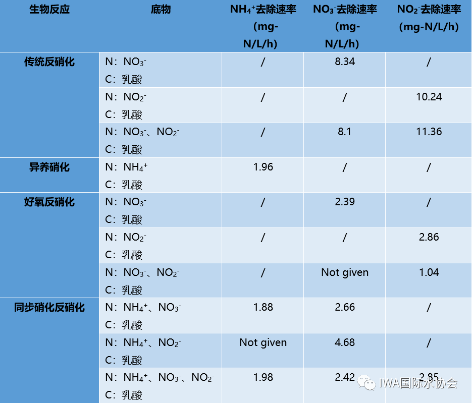 酵素生成水 ドクターソルフェジオ528Hz - ミネラルウォーター