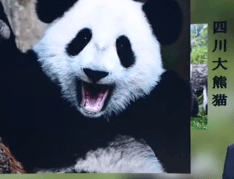 b34647175dea4db88f829cd837220ef4.png