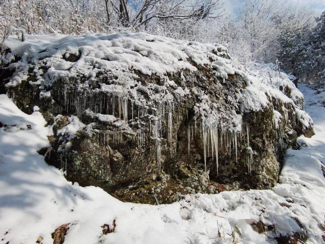 雪天登乌龙山 欣赏绝美雪景_建德市