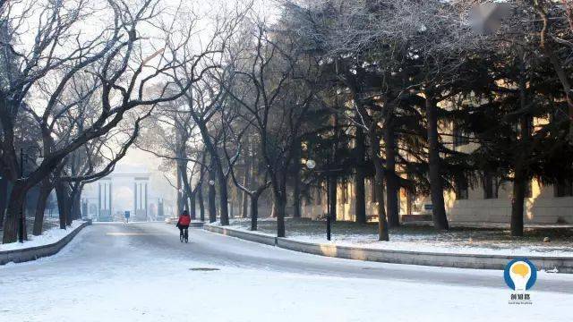 2020年文科生338排名排名_2020文科大学排名,以录取分数线为依据,适合不同的