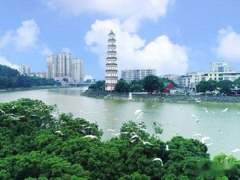 高州市人口有多少_高州市人民医院图片