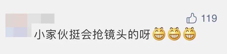 四子王旗|“嫦五”回家，没想到抢镜的是它