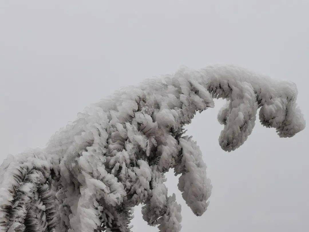 恭城燕子山雪景大片来袭,请猛戳这里!