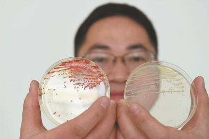 应用|“科学岛”研制出新型纳米硒肥
