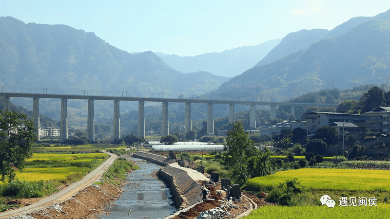 金鱼排行_不适合混养的观赏鱼排名第2:大嘴鲸鱼