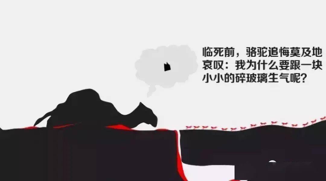 道家怎么解决生气 c516734131974af0a088d95e653c273c.jpeg