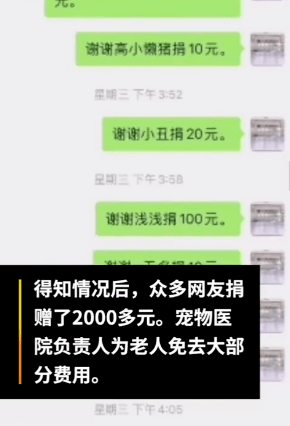 没钱给狗狗治病怎么办