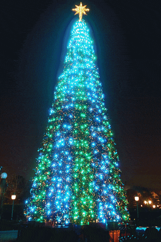 533_800 竖版 竖屏