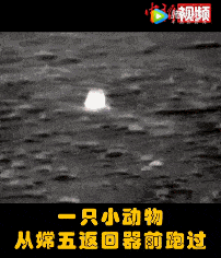 中国|“嫦五”：妈，我不冷！中国航天：不，你冷！