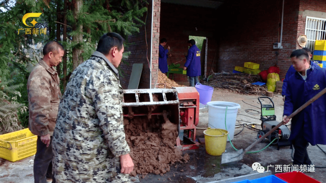 农村人口地可以养殖吗_地笋的叶子可以吃吗(2)