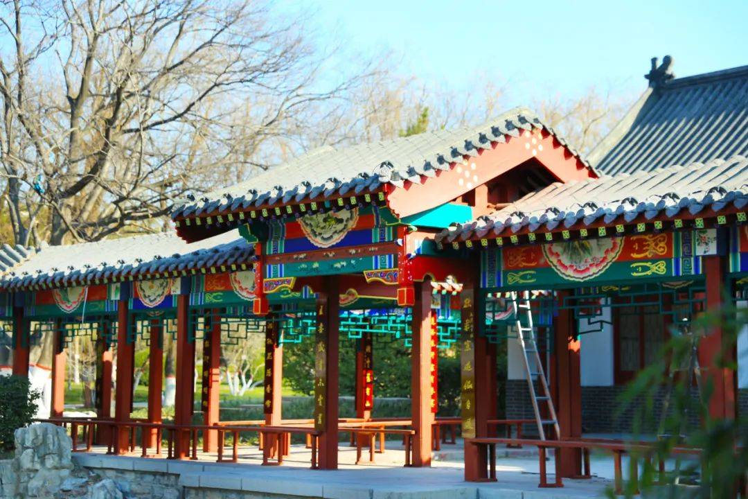潍城多少人口_潍城实小图片