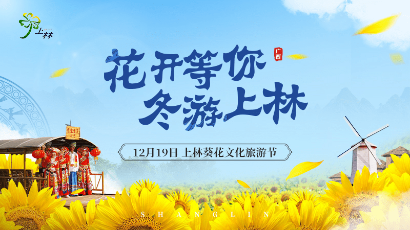 12月19日相约上林葵花文化旅游节漫步葵花海呗