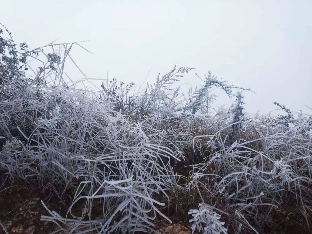 泸西要下雪