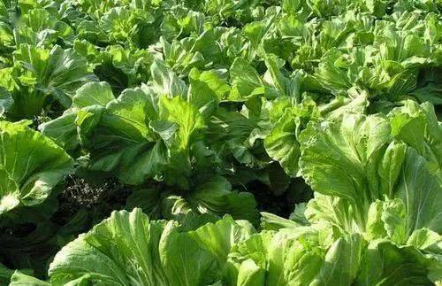 f729d66a0a934c61a8271d52dc4bfdd3.jpeg