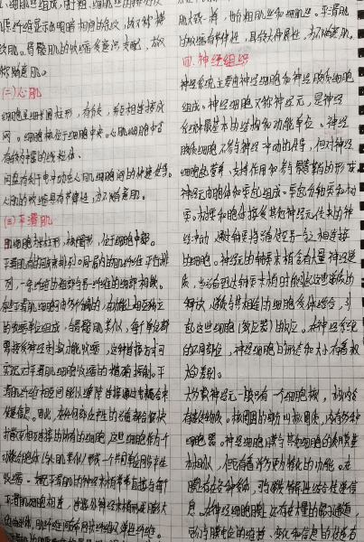 笔尖上的新华!_笔记