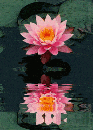 300_422 竖版 竖屏