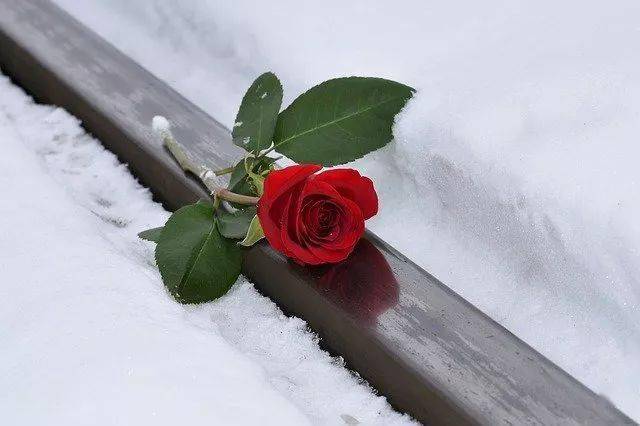 ca262d2fd259482c9c4a652e94db4c78.jpeg