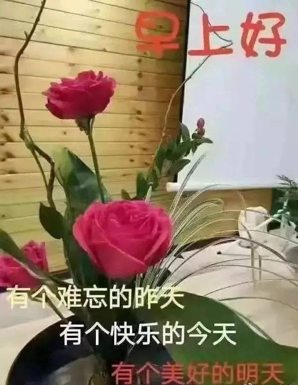 早安表情包:花开花落一年年,祝你年年如意