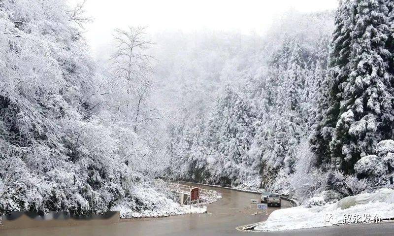 每一片雪花都是新鲜到货这是今天罗汉林的雪推荐指数:地址:叙永县分水