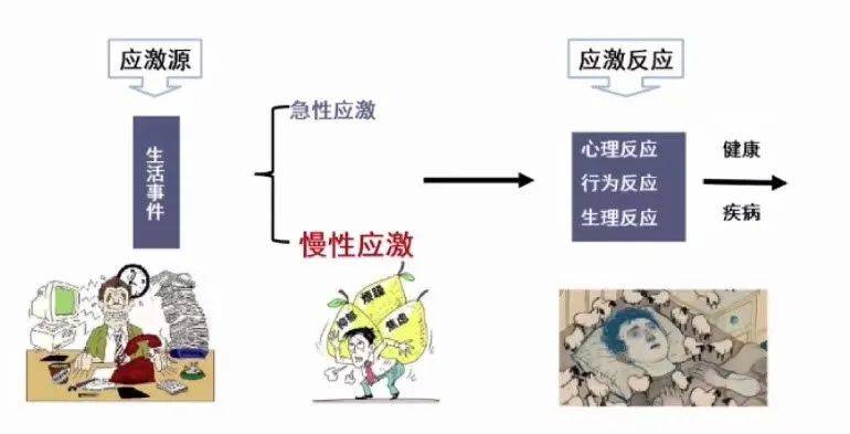 性应激，会引起机体生理、心理、行为等各方面反应，最终导致疾病发生。图3 应激反应示意图压力山大，尿酸