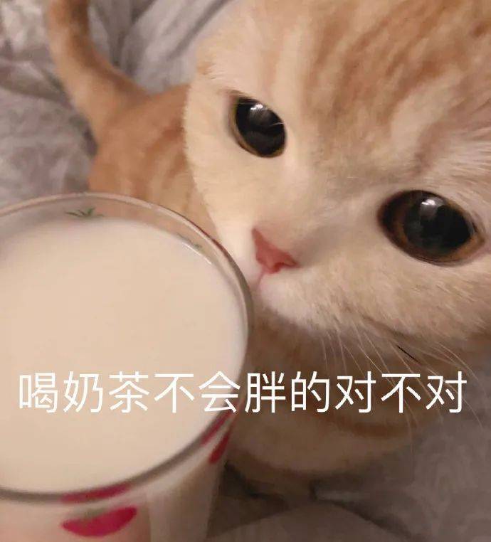 喝奶茶不会胖的对不对