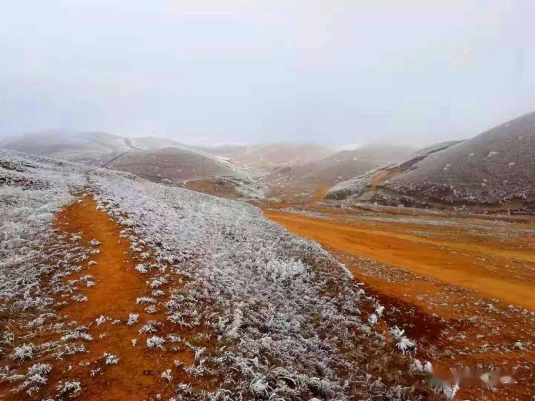 昭通大山包:雾凇 冰雪 黄土 蓝天 白云,还有黑颈鹤和鸡公山,咋那么